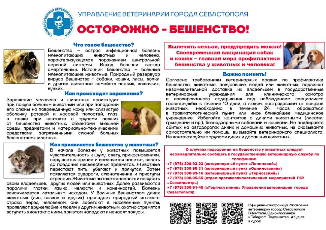 Бешенство